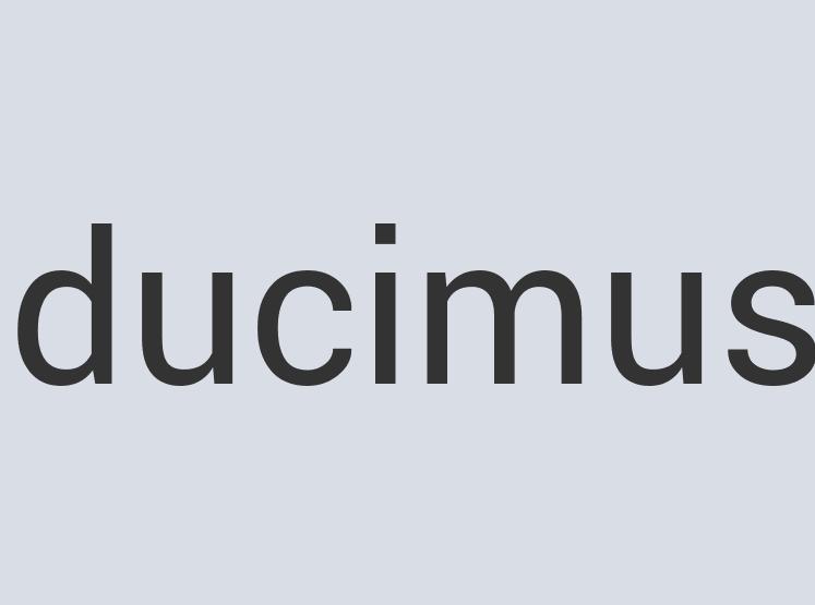 Heavy Duty Leather Turkey Fins