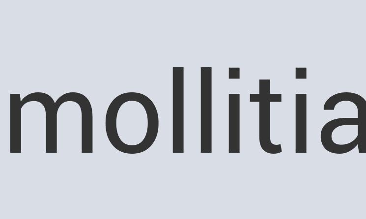 Heavy Duty Aluminum BeanThere