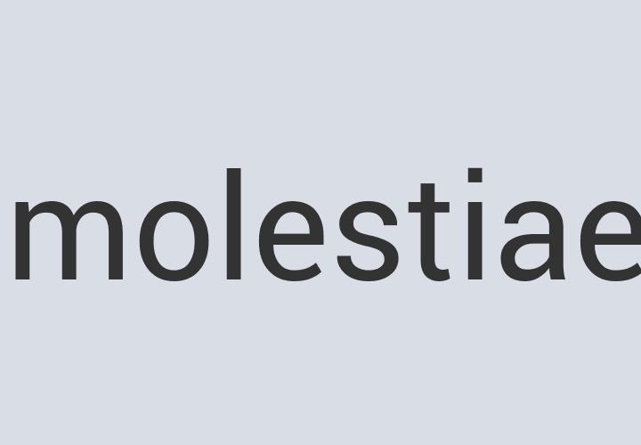 Durable Aluminum MusicMarket