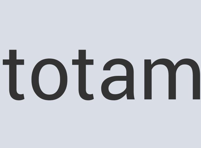 Aerodynamic Iron Censor Ship