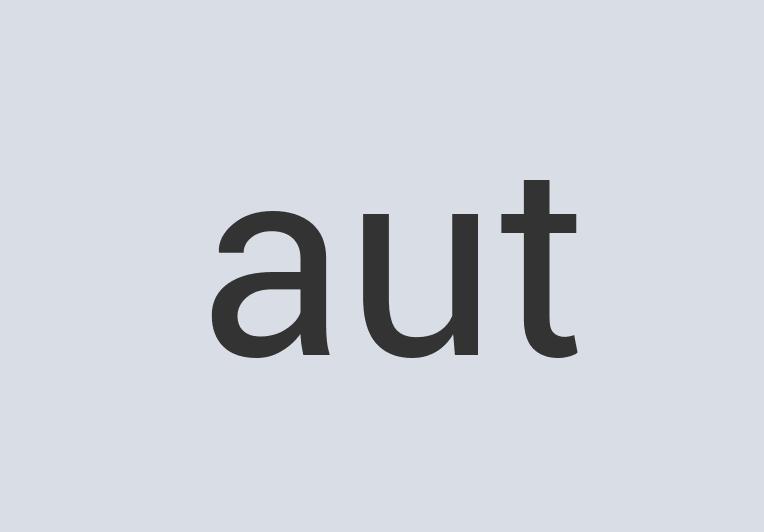 Ergonomic Leather Snowpoke