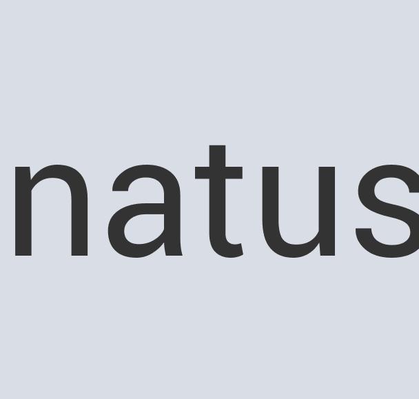 Gorgeous Rubber Speed Street